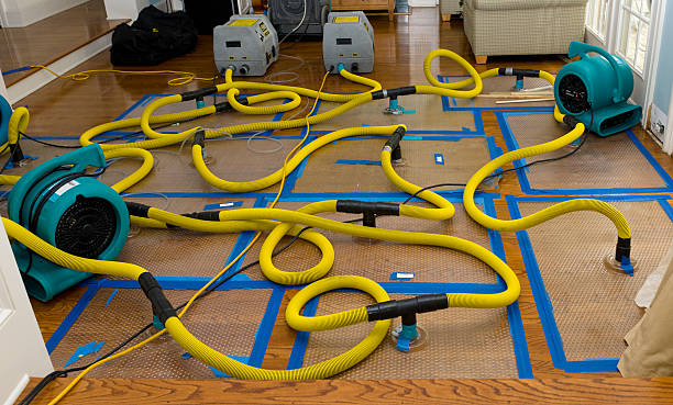 Professional Structural Drying And Dehumidification technician working in Tiffin, IA